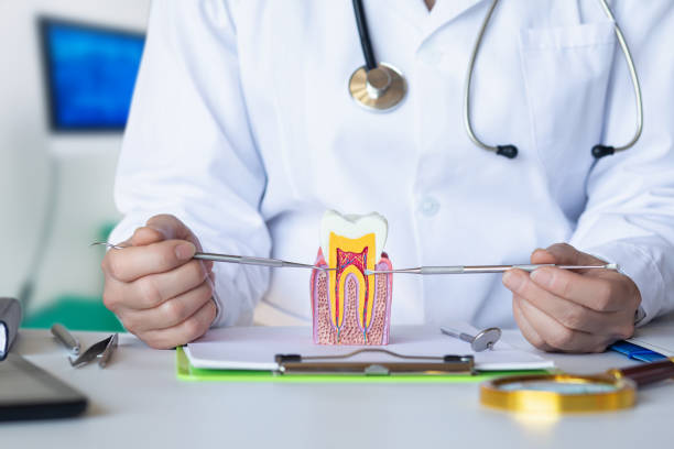 Best Emergency Tooth Extraction in Heron Bay, GA